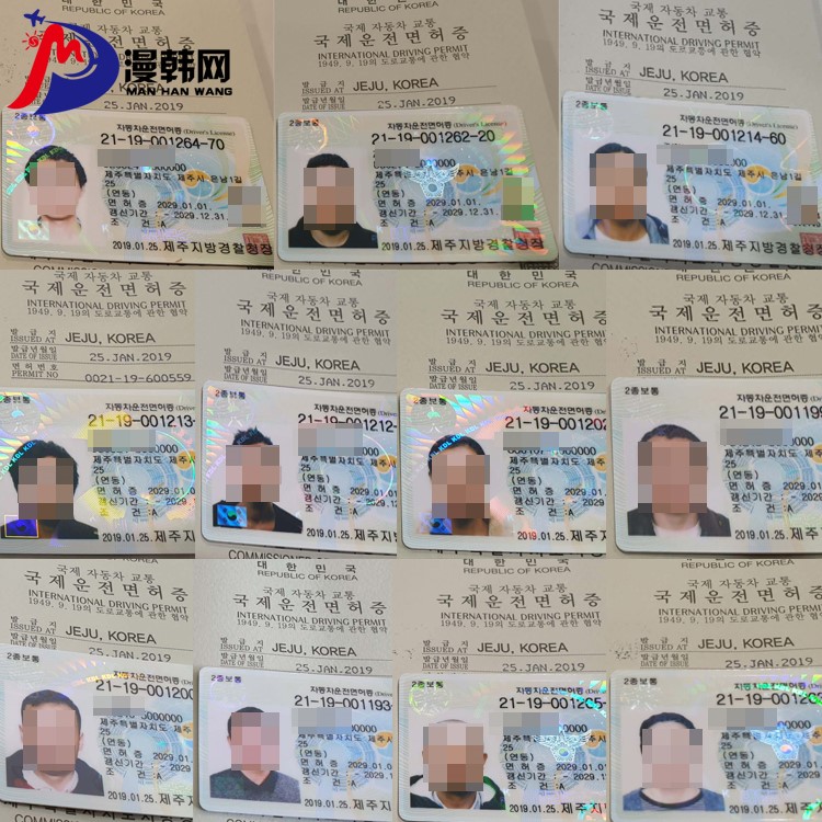 韓國IDP國際駕照.jpg