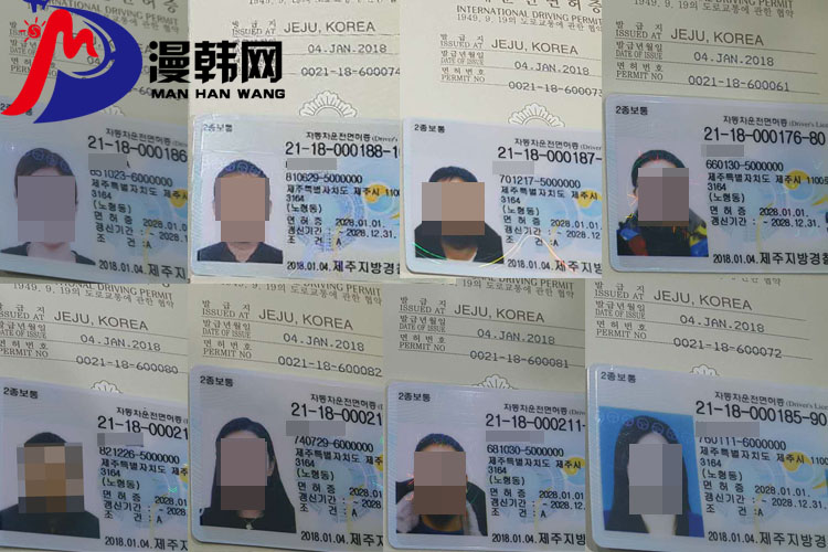 韓國IDP駕照.jpg