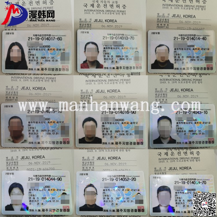 韓國英文版駕照.jpg